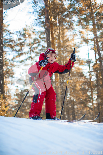 Image of skiing in the forest