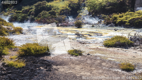 Image of volcanic activities at waimangu