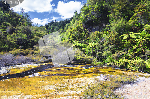 Image of volcanic activities at waimangu