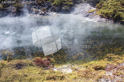 Image of volcanic lake at waimangu