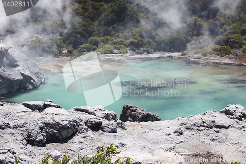 Image of volcanic lake at waimangu