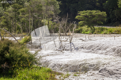 Image of volcanic activities at waimangu