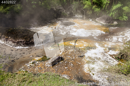 Image of volcanic activities at waimangu