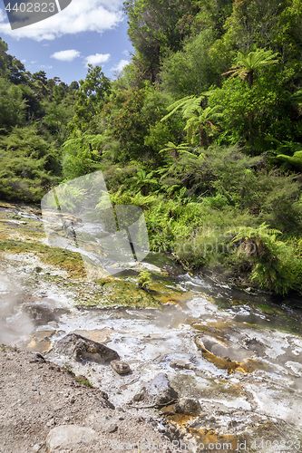 Image of volcanic activities at waimangu