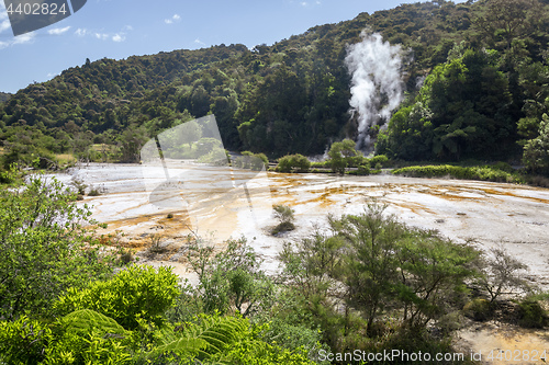 Image of volcanic activities at waimangu