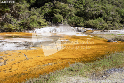 Image of volcanic activities at waimangu