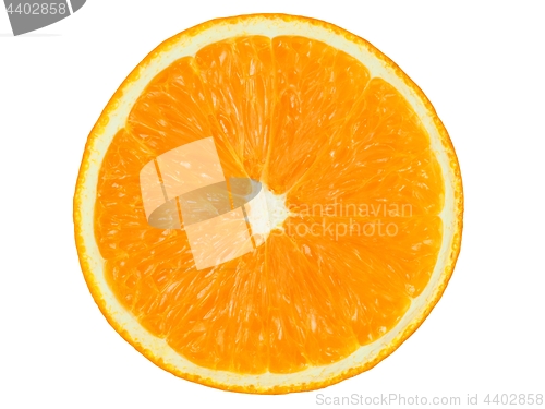 Image of Orange half on white