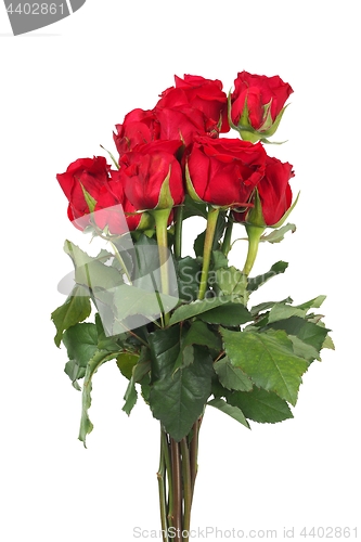 Image of Bunch of roses