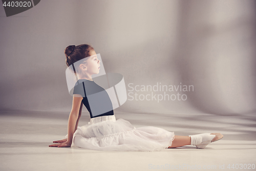 Image of The little balerina dancer on gray background