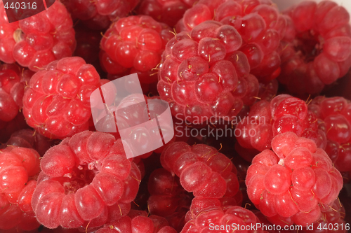 Image of Background of Raspberries