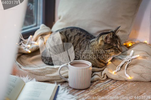 Image of tabby cat lying on window sill with book at home