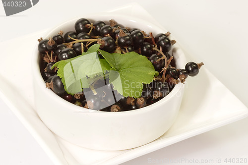 Image of Black Currants with Leaves