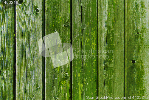 Image of old wooden boards painted in green