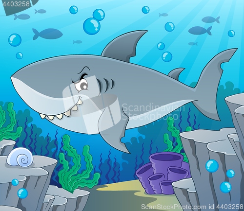 Image of Shark topic image 2