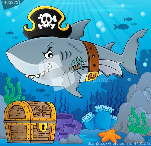 Image of Pirate shark topic image 5