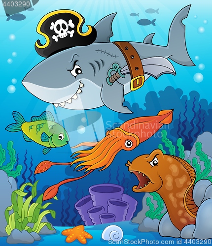 Image of Pirate shark topic image 7