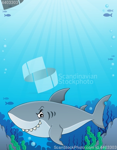 Image of Shark topic image 3