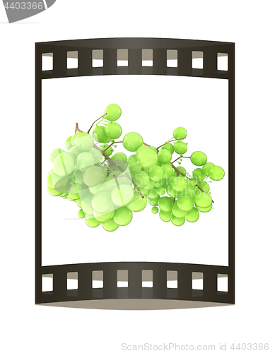 Image of Healthy fruits Green wine grapes isolated white background. Bunc