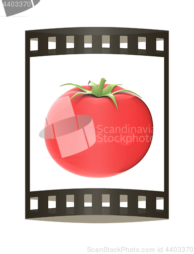 Image of tomato. 3d illustration. The film strip.