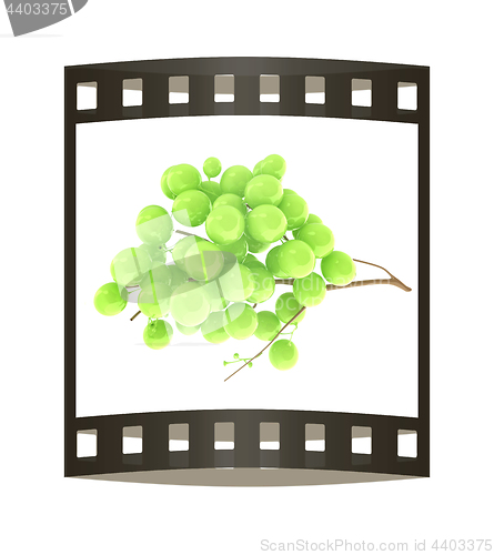 Image of Healthy fruits Green wine grapes isolated white background. Bunc