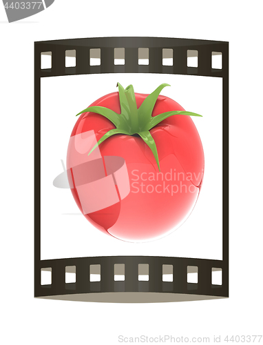 Image of tomato. 3d illustration. The film strip.