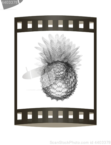 Image of Pineapple isolated on white background.3d illustration. The film