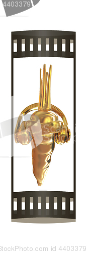 Image of Gold carrot with sun glass and headphones front \"face\" on a whit