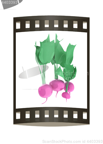 Image of Small garden radish isolated on white background. 3d illustratio
