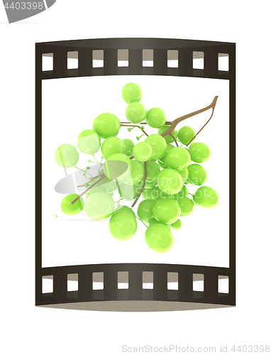 Image of Healthy fruits Green wine grapes isolated white background. Bunc