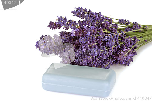 Image of Soap of Lavender