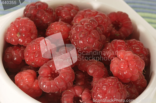 Image of Close-up of raspberries