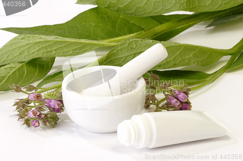Image of Comfrey Ointment