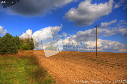 Image of Ploughed field at late summer