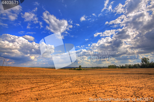 Image of Ploughed field at late summer