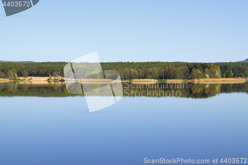 Image of Lake with forest line mirrored in calm water surface