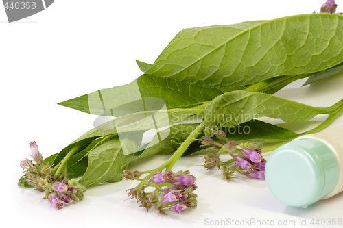 Image of Comfrey_Cream
