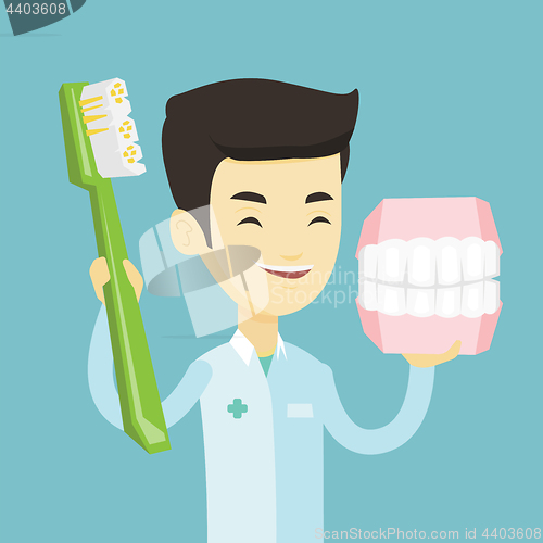 Image of Dentist with dental jaw model and toothbrush.