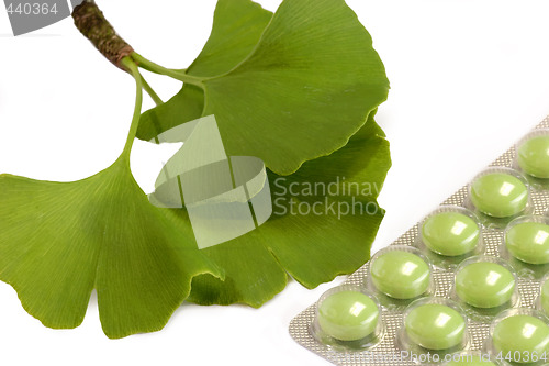 Image of Gingko Pills