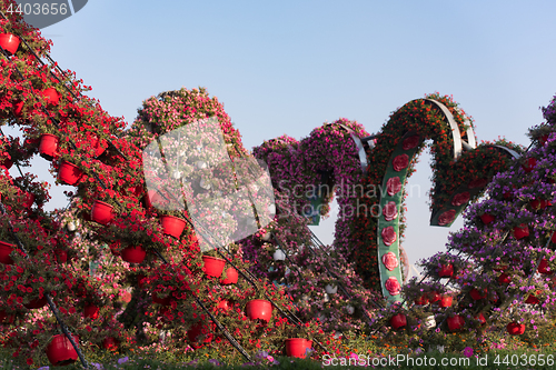 Image of Dubai miracle garden