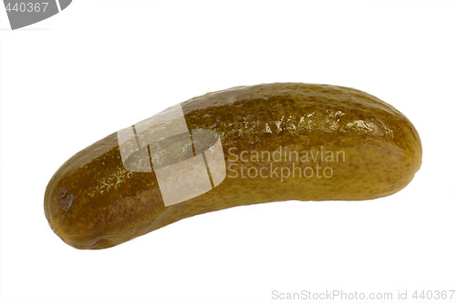 Image of One Gherkin