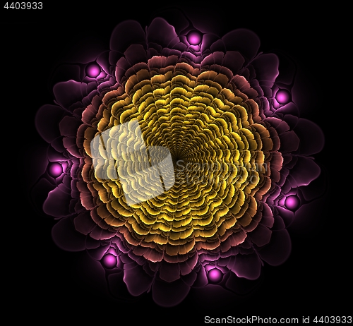 Image of Beautiful abstract fractal flower