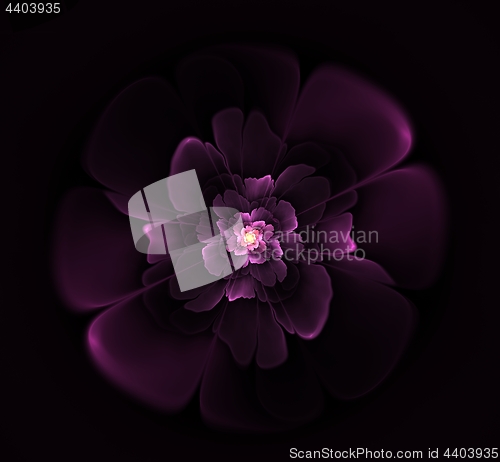 Image of Beautiful abstract fractal flower