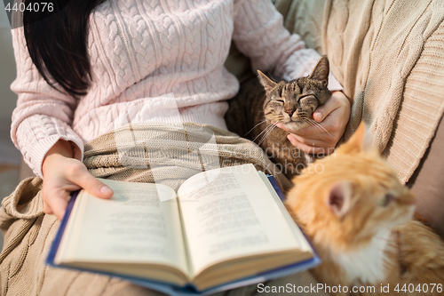 Image of red and tabby and owner reading book at home