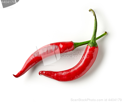 Image of red hot chili pepper