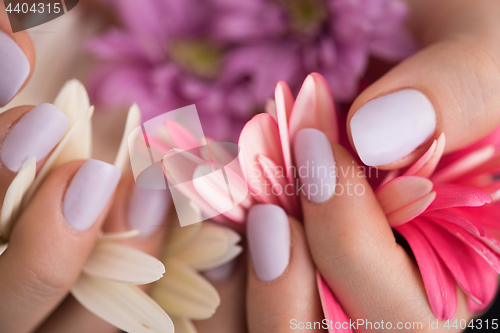 Image of woman hands with manicure holding flower