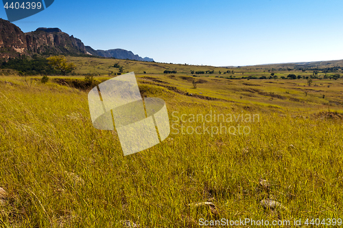 Image of Savanna and rock formations. Madagascar