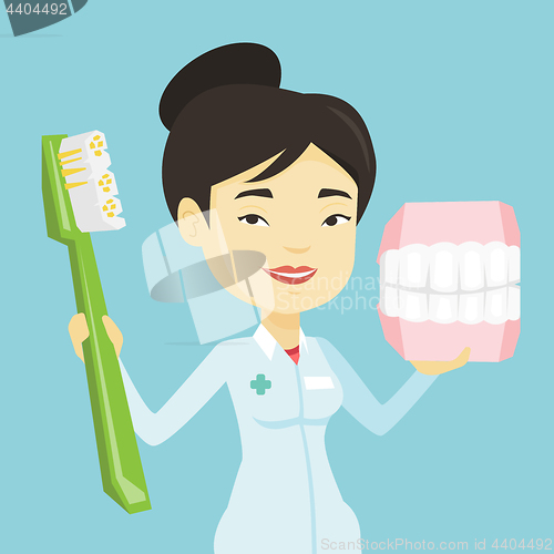 Image of Dentist with dental jaw model and toothbrush.