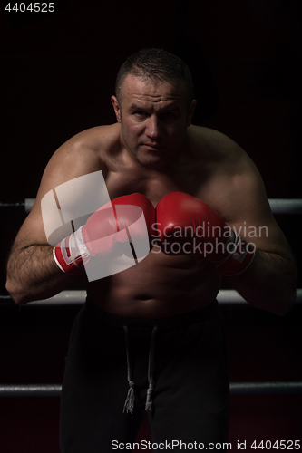 Image of professional kickboxer in the training ring