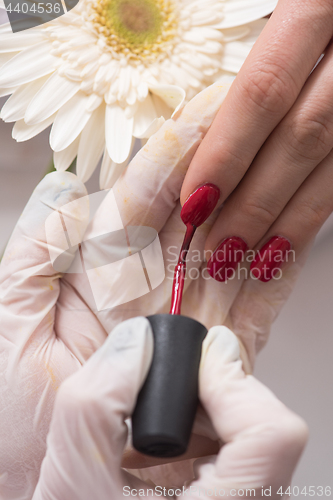 Image of Woman hands receiving a manicure