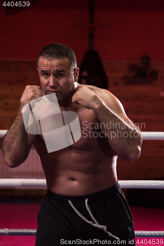 Image of professional kickboxer in the training ring